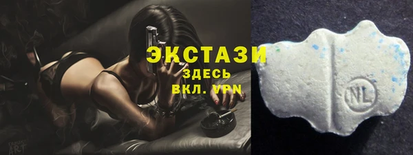 индика Снежинск