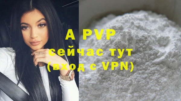 индика Снежинск
